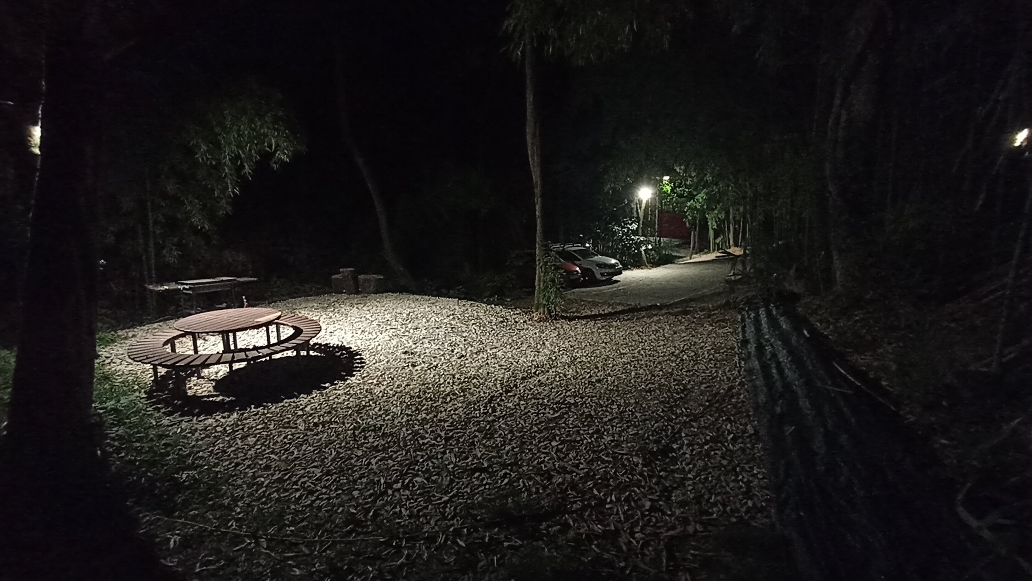 Фото Бамбуковая Роща