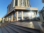 Айылбанк (Mikhail Frunze Street, 300/3) ، محطة دفع