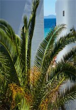 Фото Margarita Sea Side Hotel