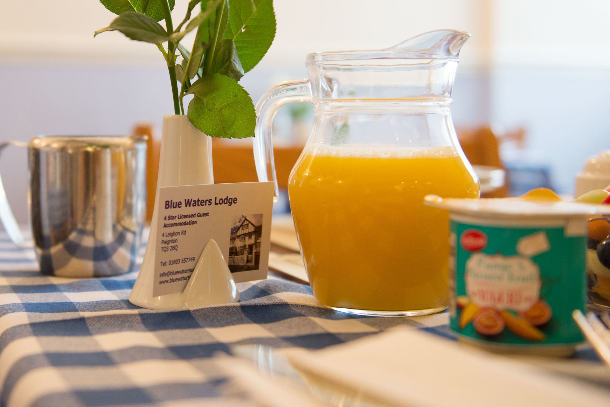 Фото Blue Waters Lodge