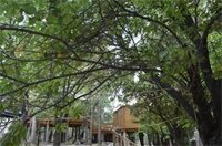 Фото Welcomheritage Lha - Ri - Sa Resort