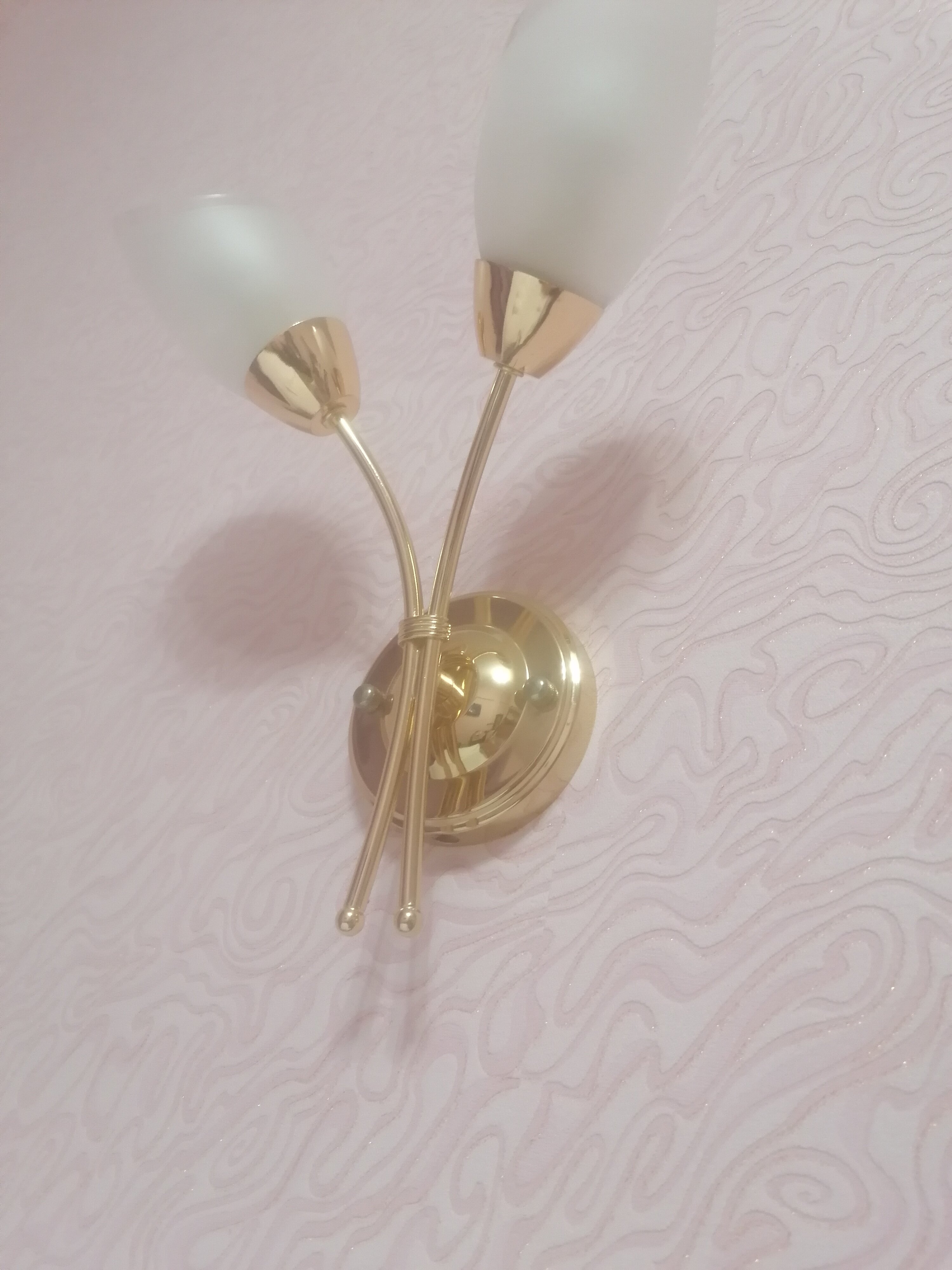 Фото Славия