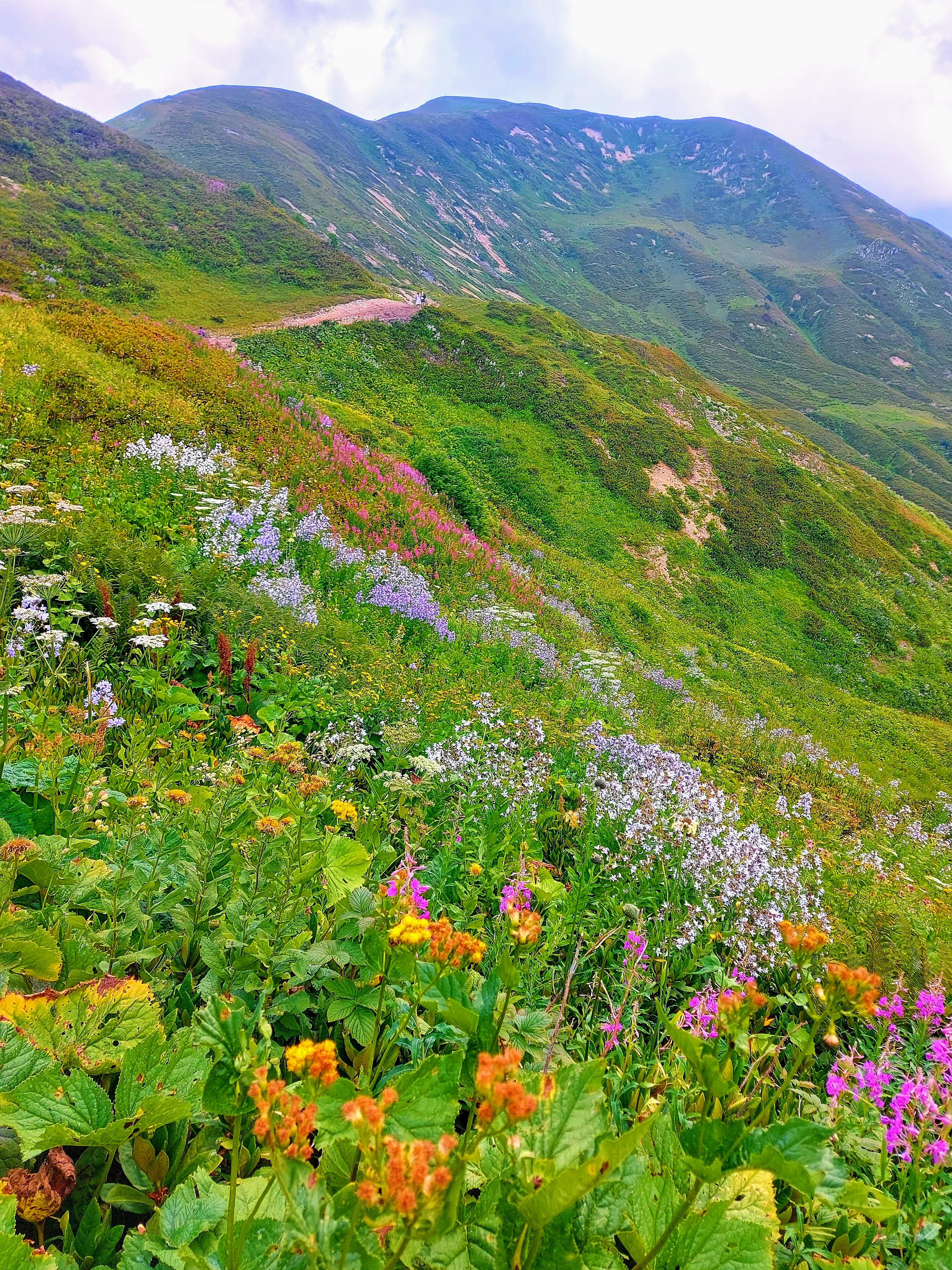 Фото Родина