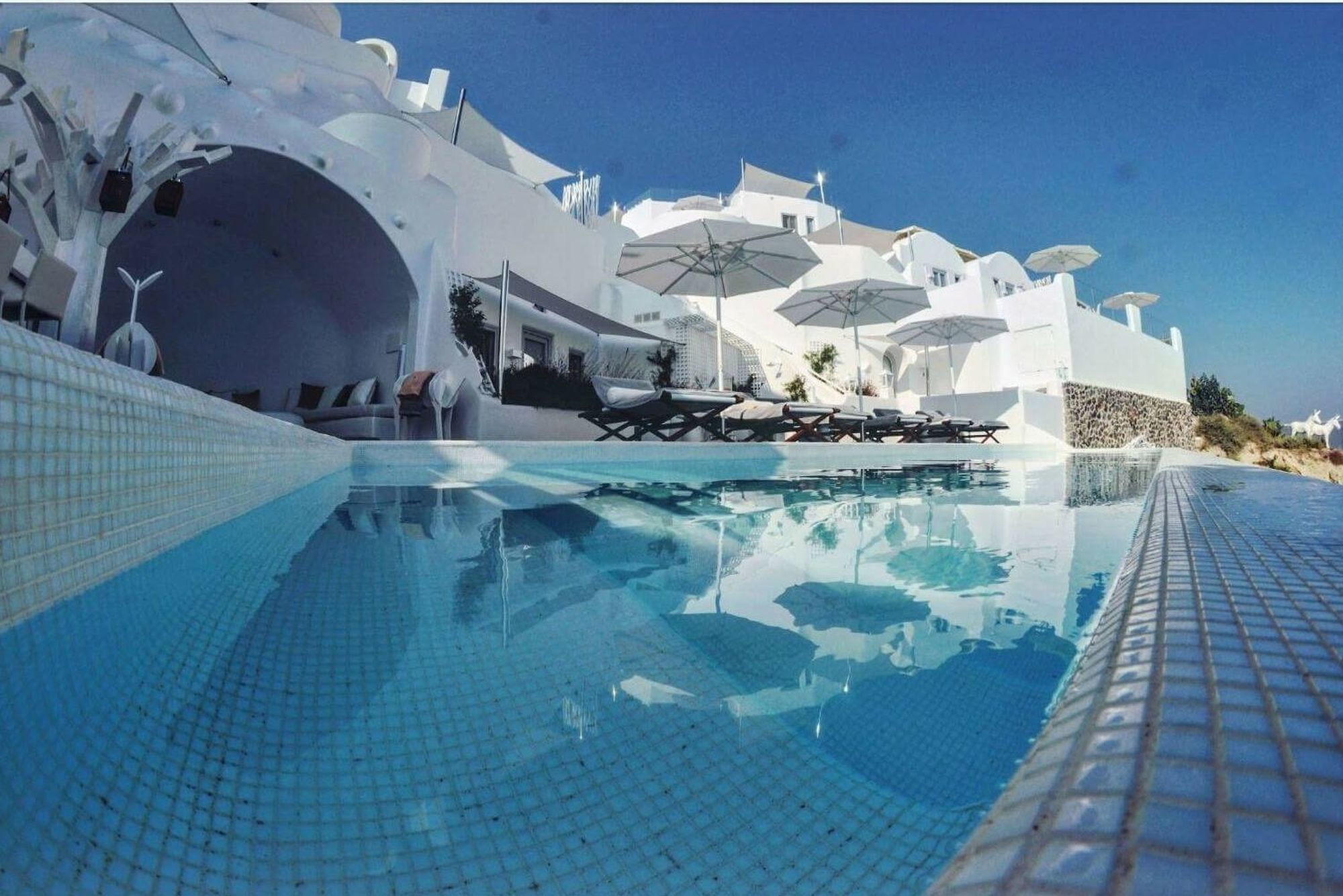 Фото Canaves Sunday