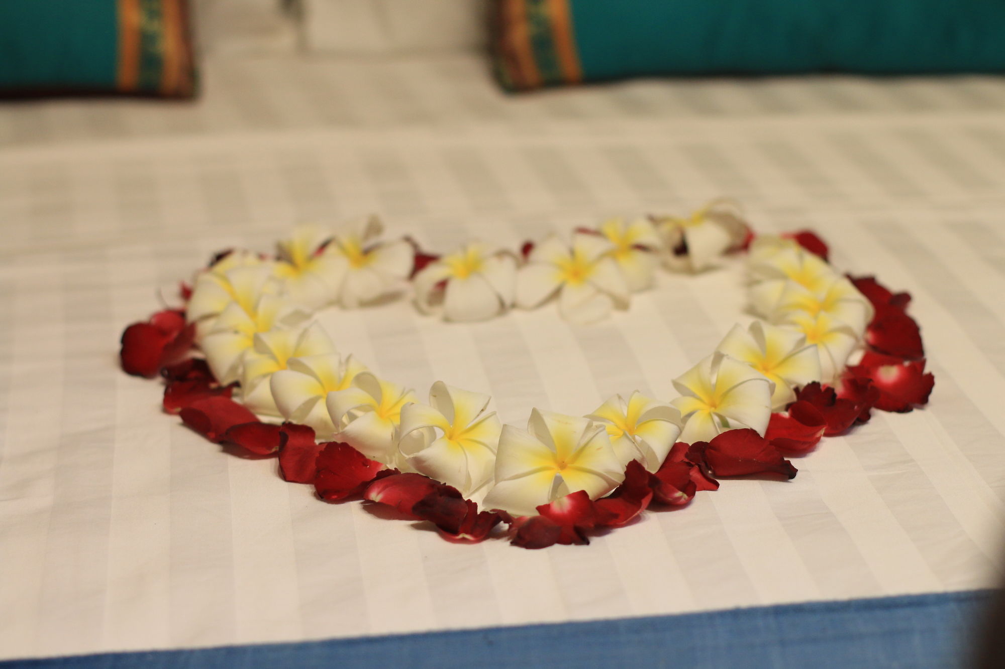 Фото Green Bird Villa