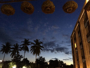 Гостиница The Coconut Hotel