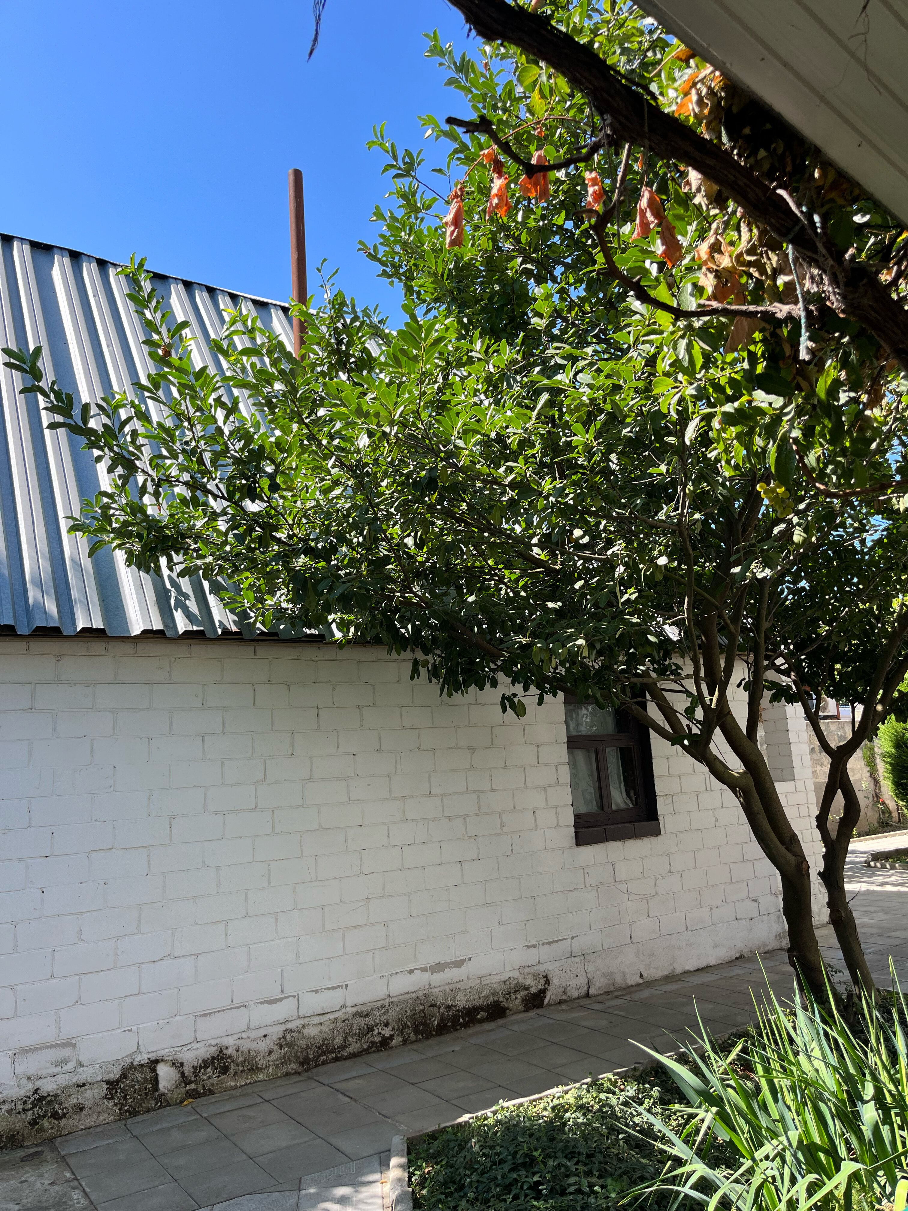 Фото BlagaHouse15