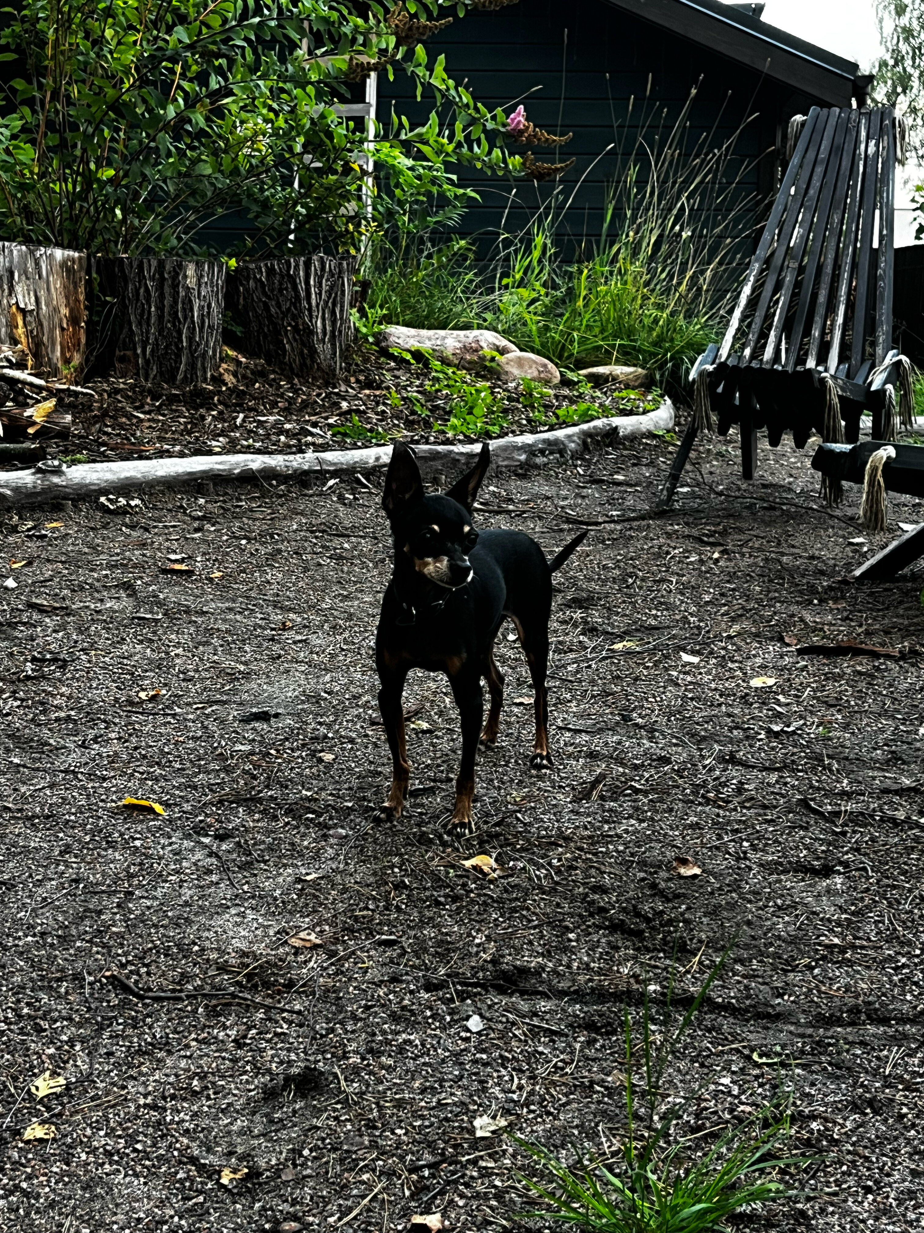 Фото Yagodavillage