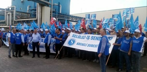 Public fund Seluloz-Is, Izmit, photo