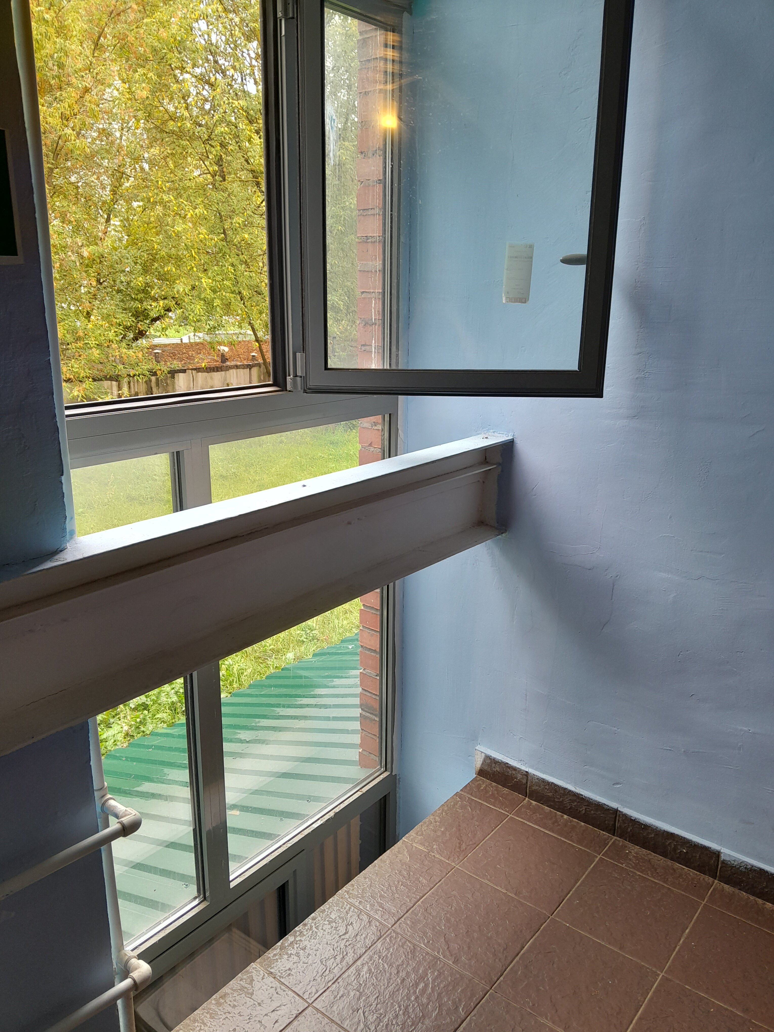 Фото Вежливый Лось на Ботаническом саду