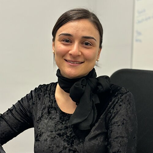 Management company Forte Teknoloji, Ankara, photo