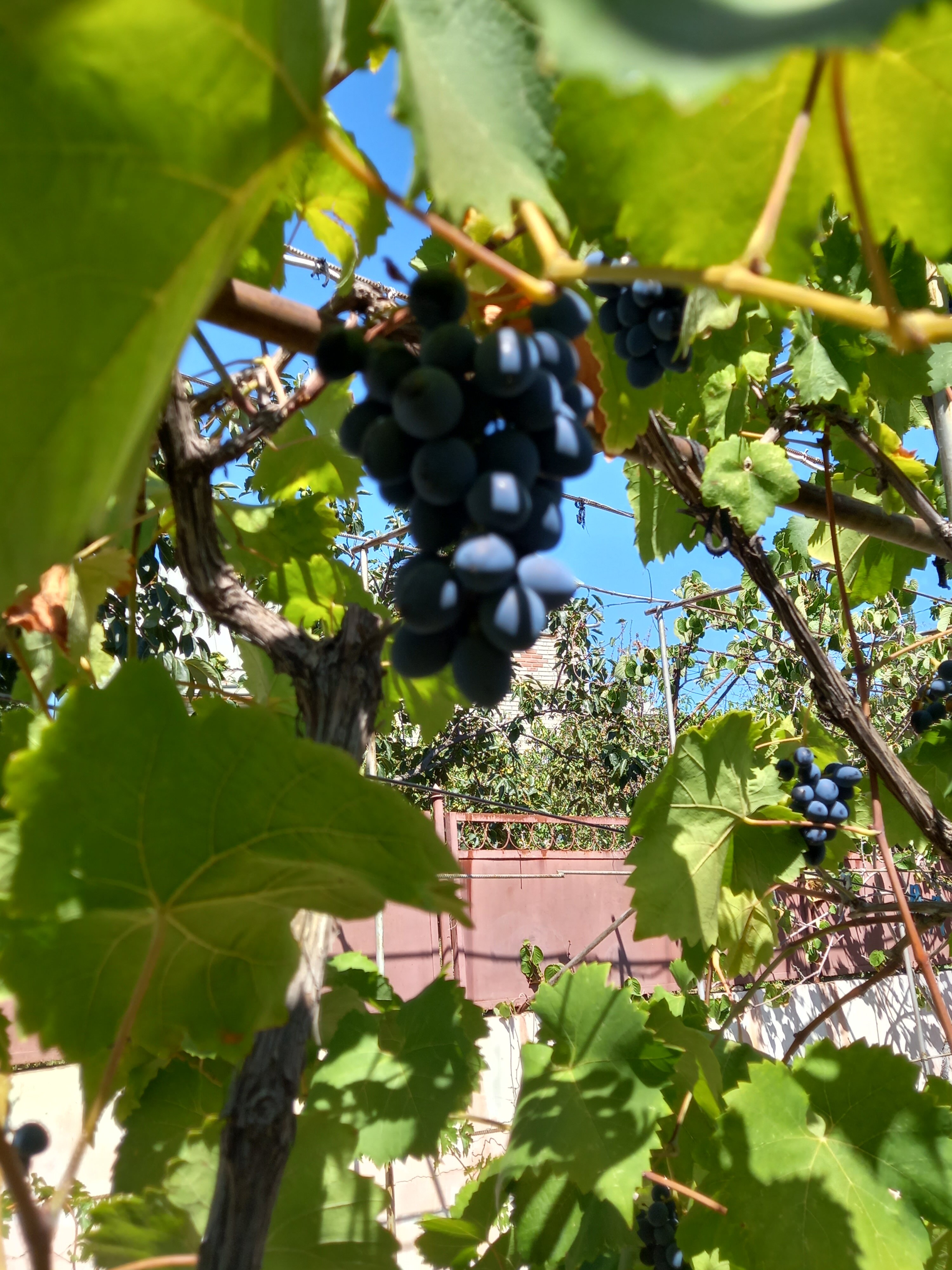 Фото Ай Василь