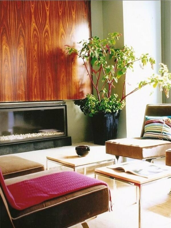 Фото Le Placide Saint Germain des Pres