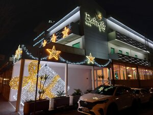 Гостиница Hotel Butterfly