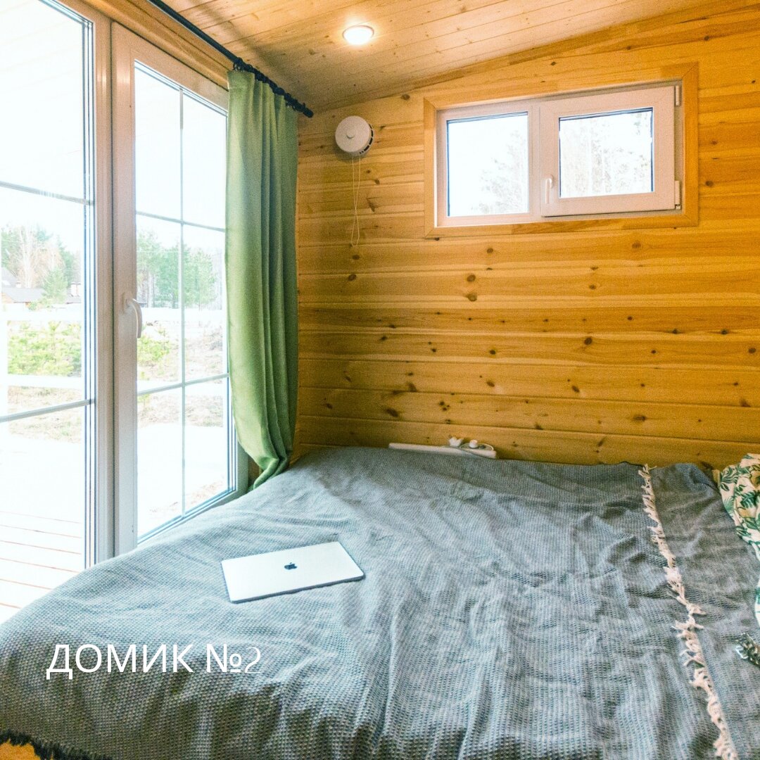 Фото Forest time