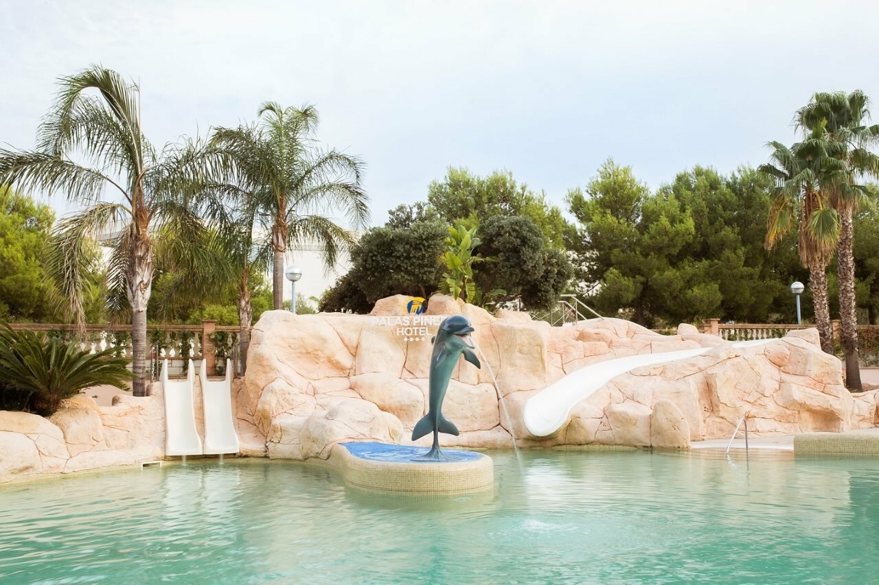 Фото Hotel Palas Pineda