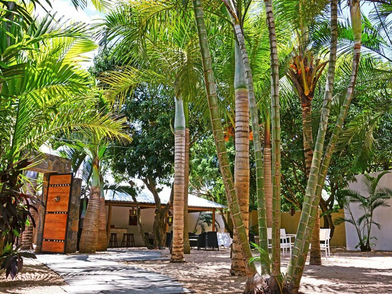 Фото La Margarita