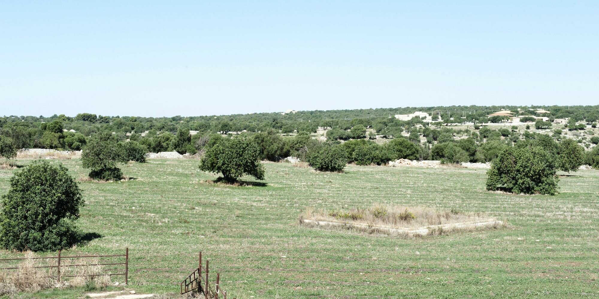 Фото Nacalino Agriturismo