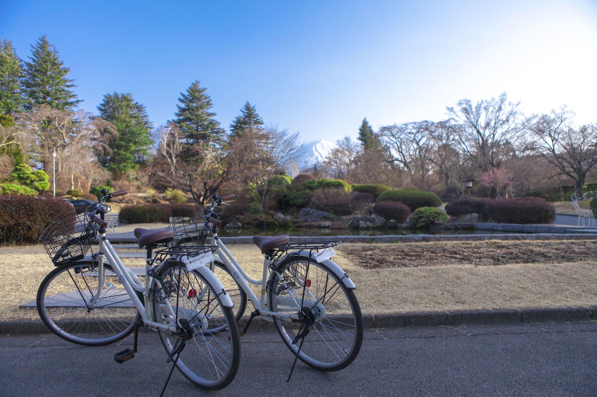 Фото Fuji View Hotel
