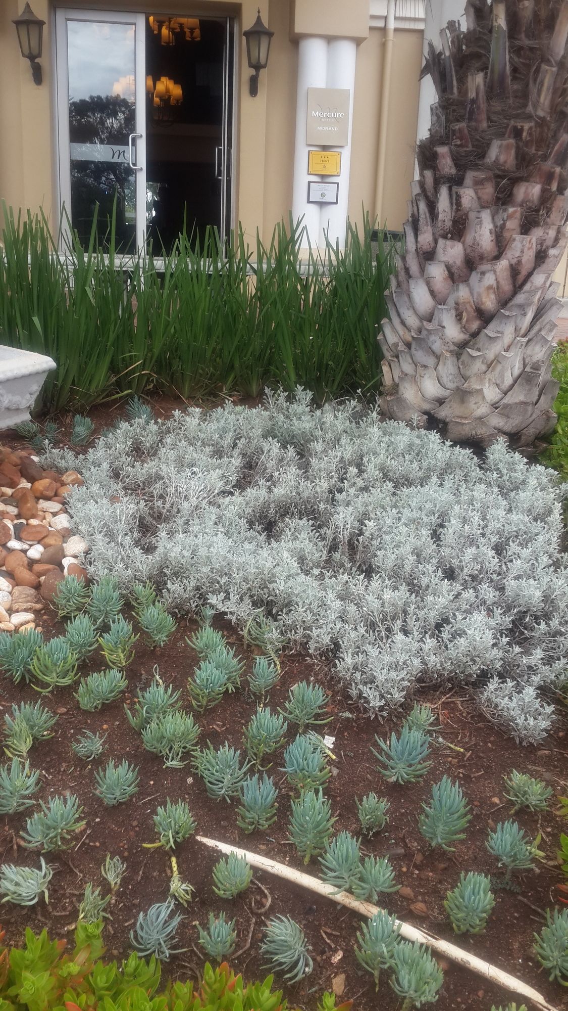 Фото Mercure Johannesburg Midrand Hotel