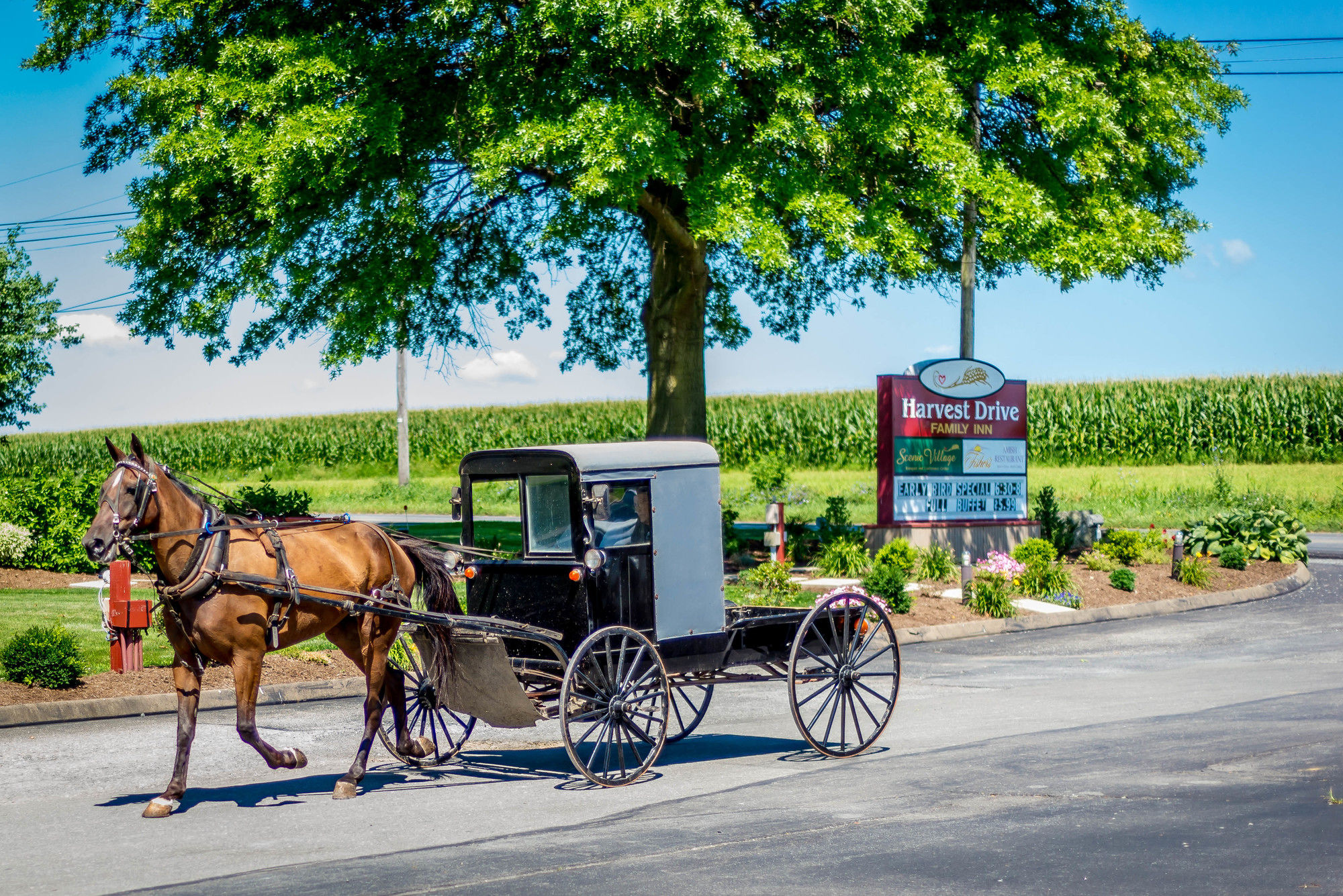 Фото Harvest Drive Family Inn