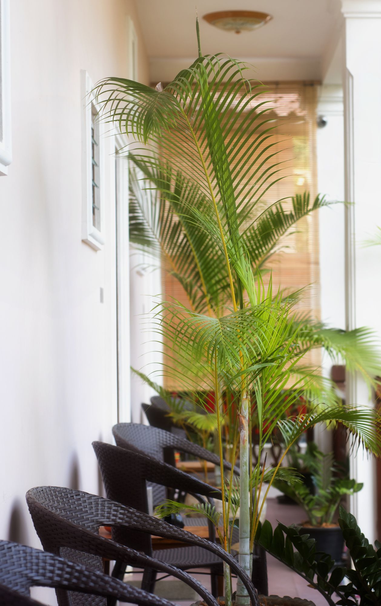 Фото Pakhongthong Villa