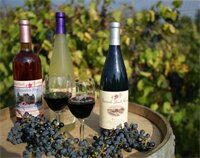 Фото Holiday Inn Express Hotel & Suites Watertown-Thousand Island, an Ihg Hotel