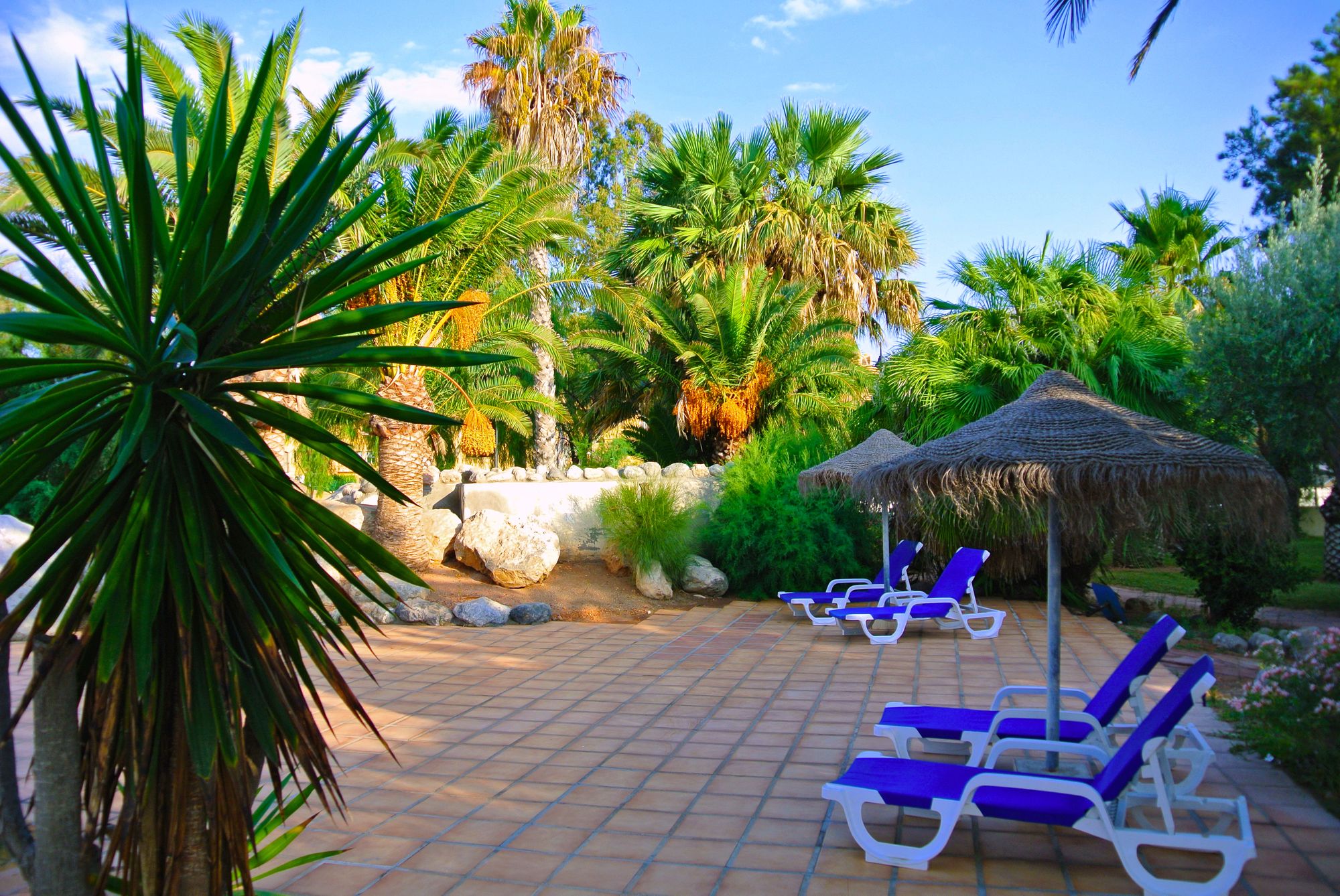 Фото Apartamentos Moguima