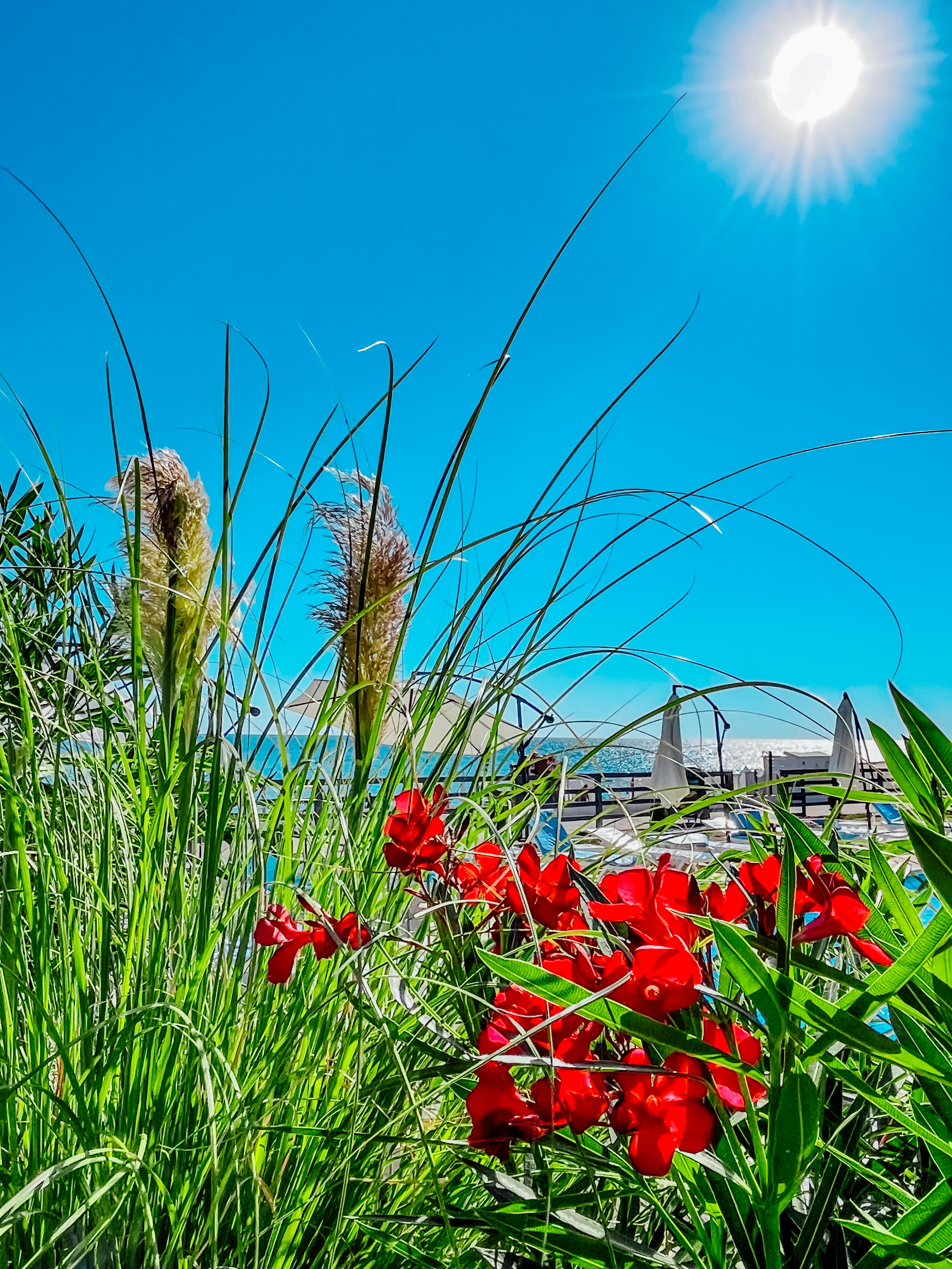 Фото Базальт