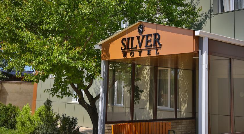 Фото Сильвер