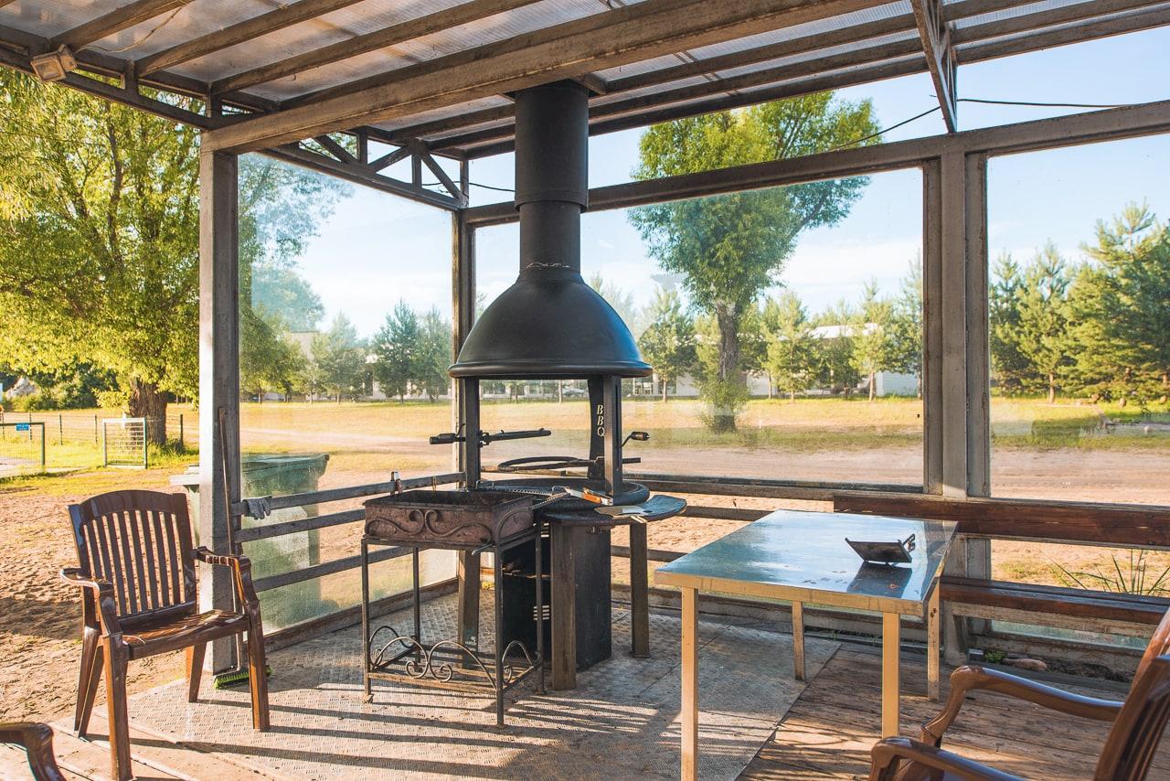 Фото Веточка