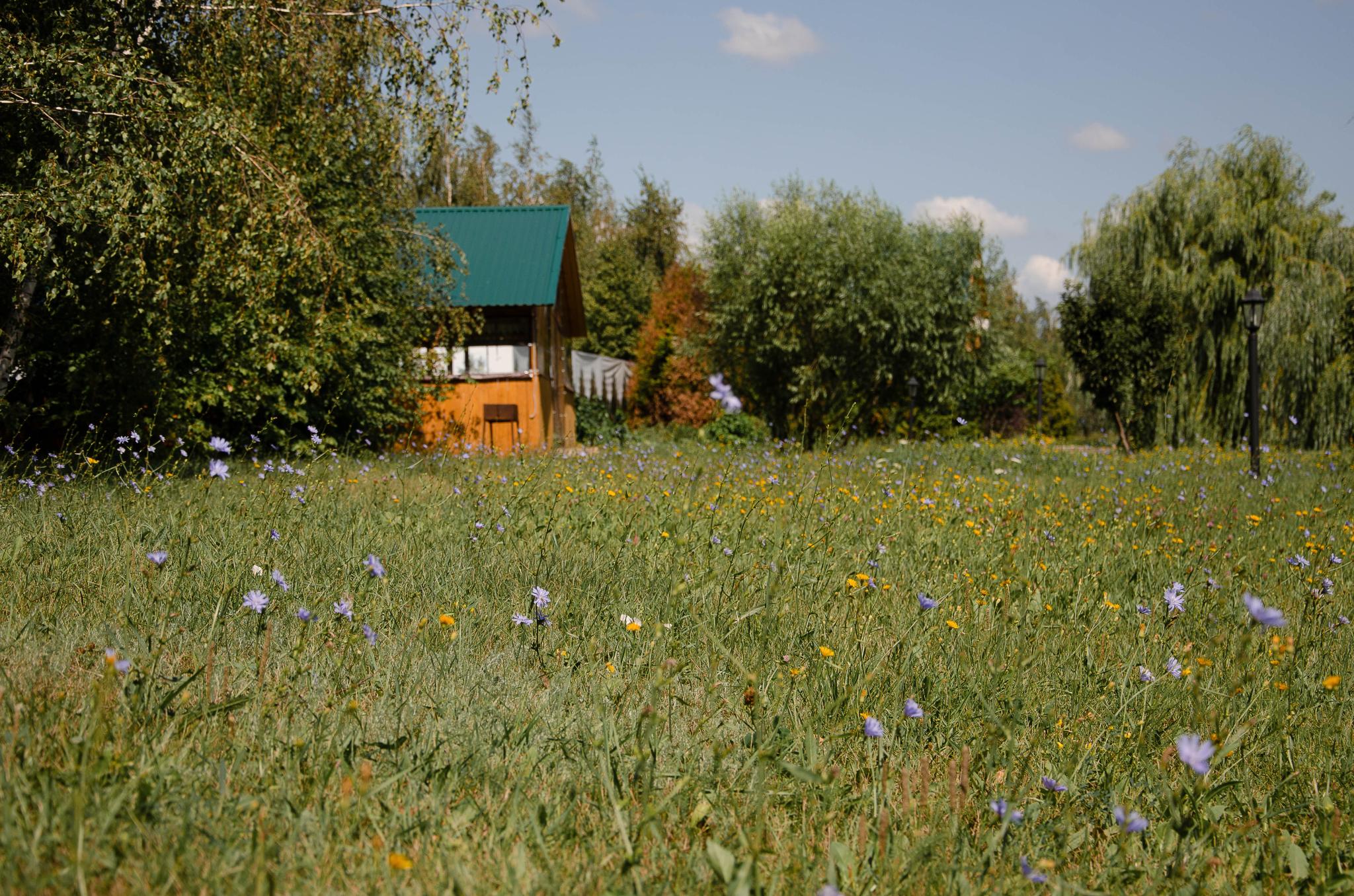 Фото Zолотой саZан