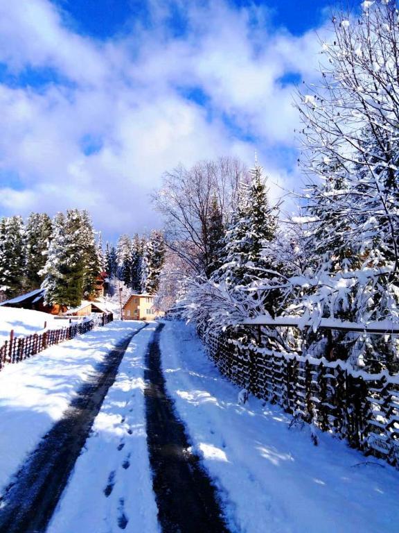 Фото Куатанг