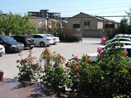 Фото Золотые пески