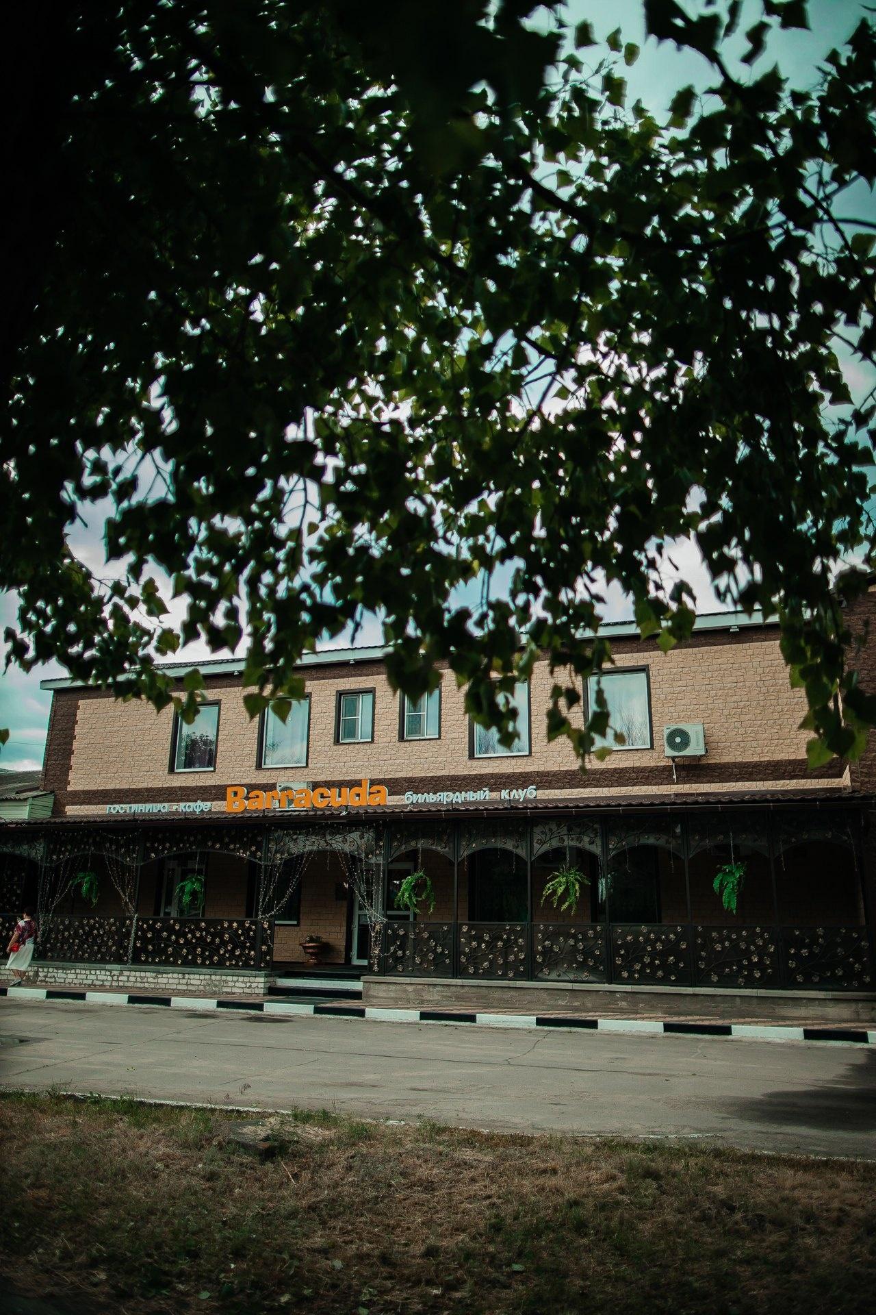 Фото Барракуда