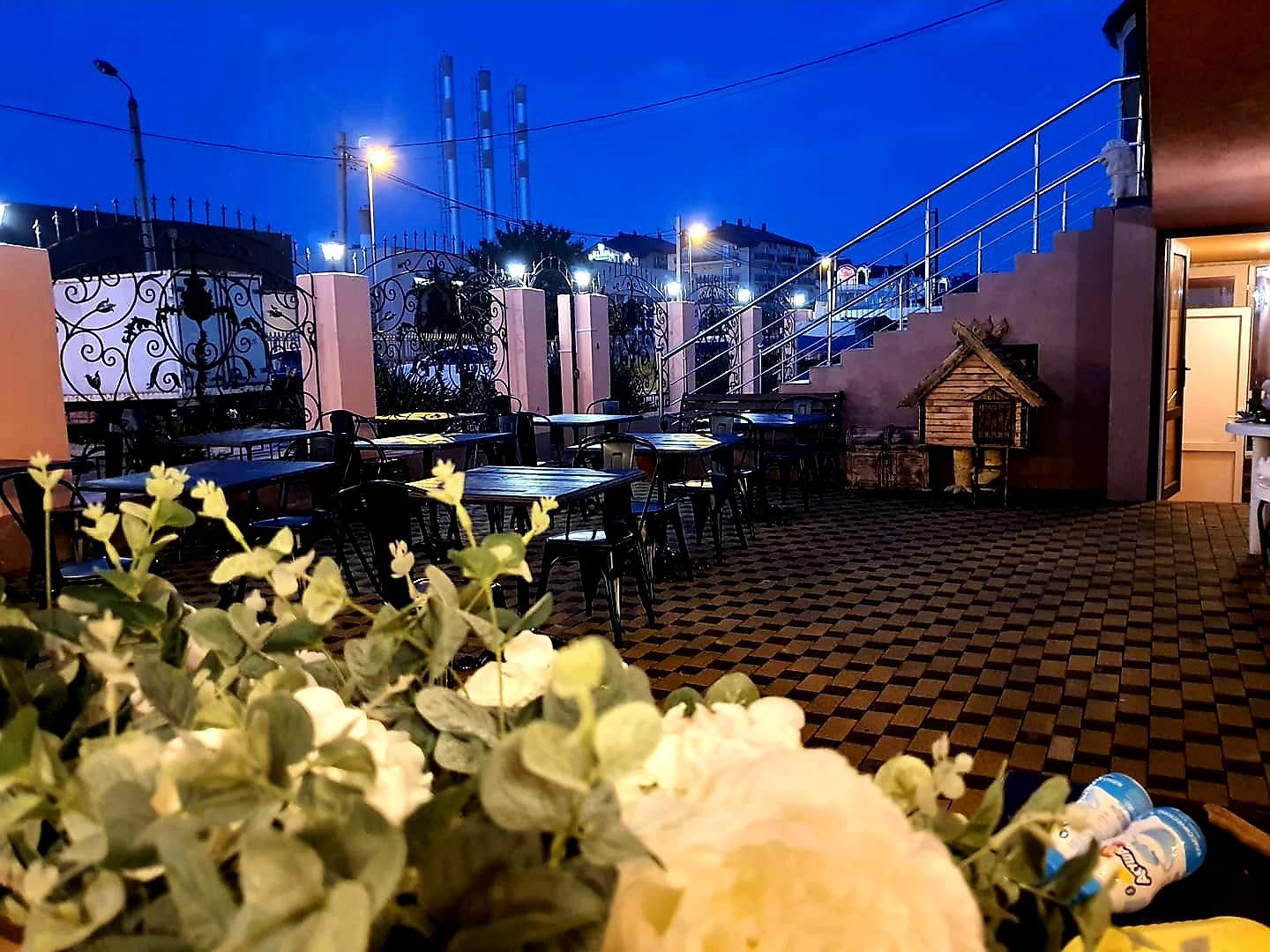 Фото Камела