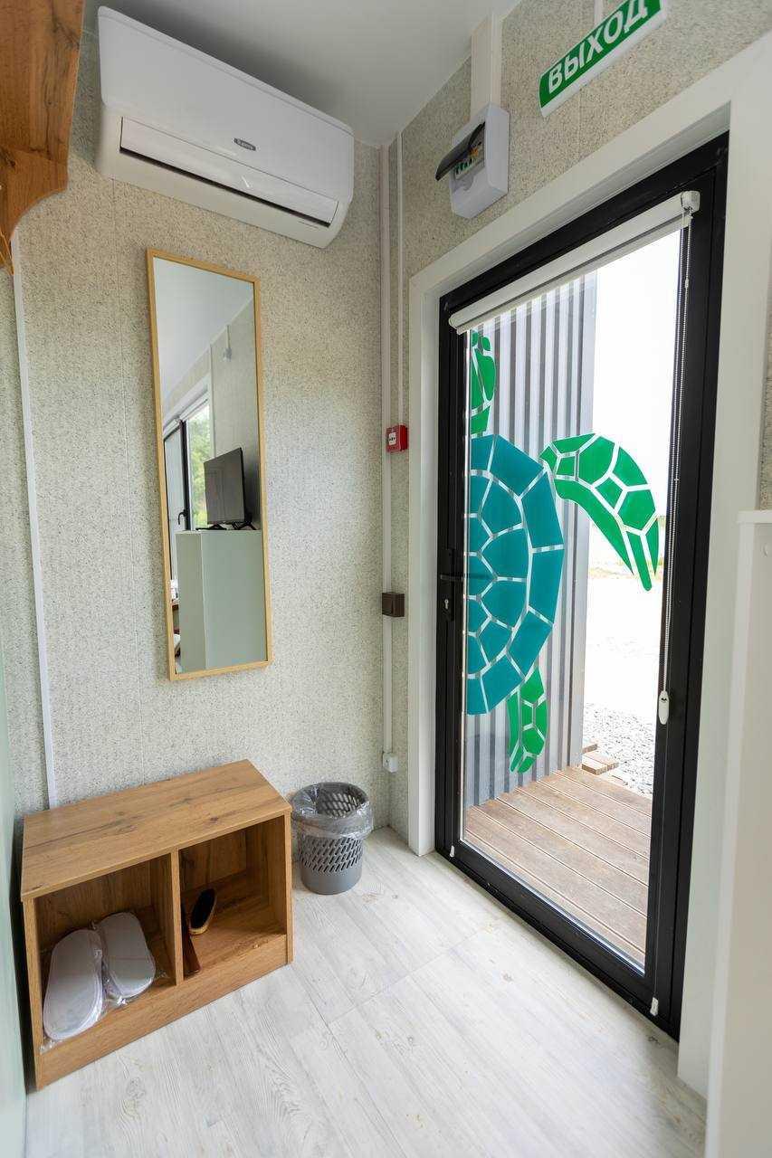 Фото Лазурная черепаха