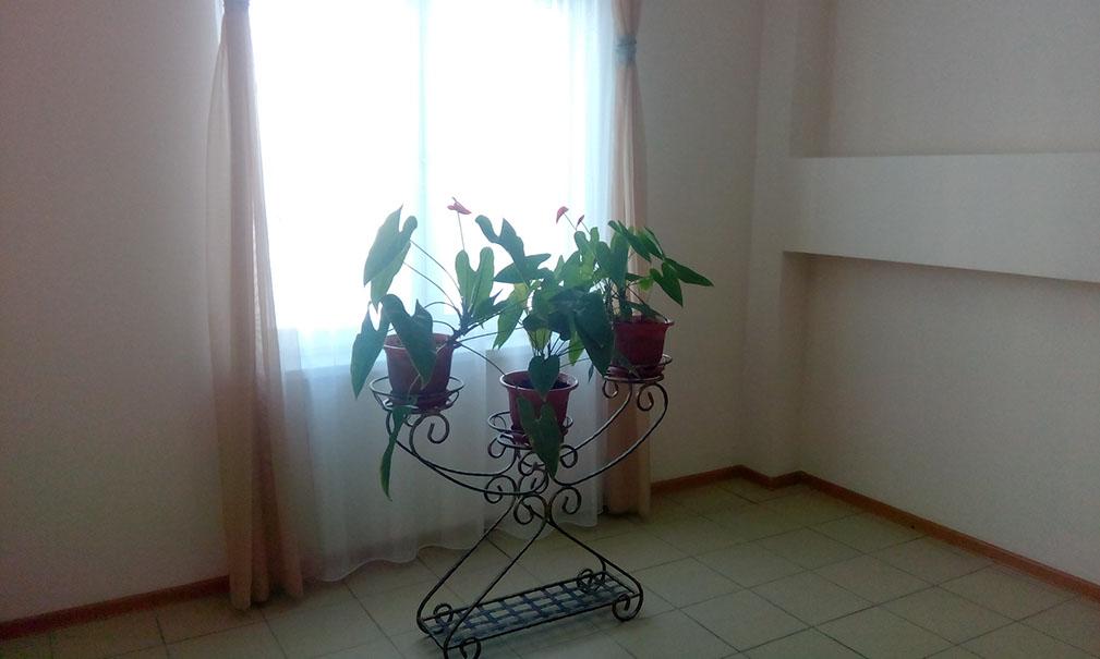 Фото Сибпромстрой