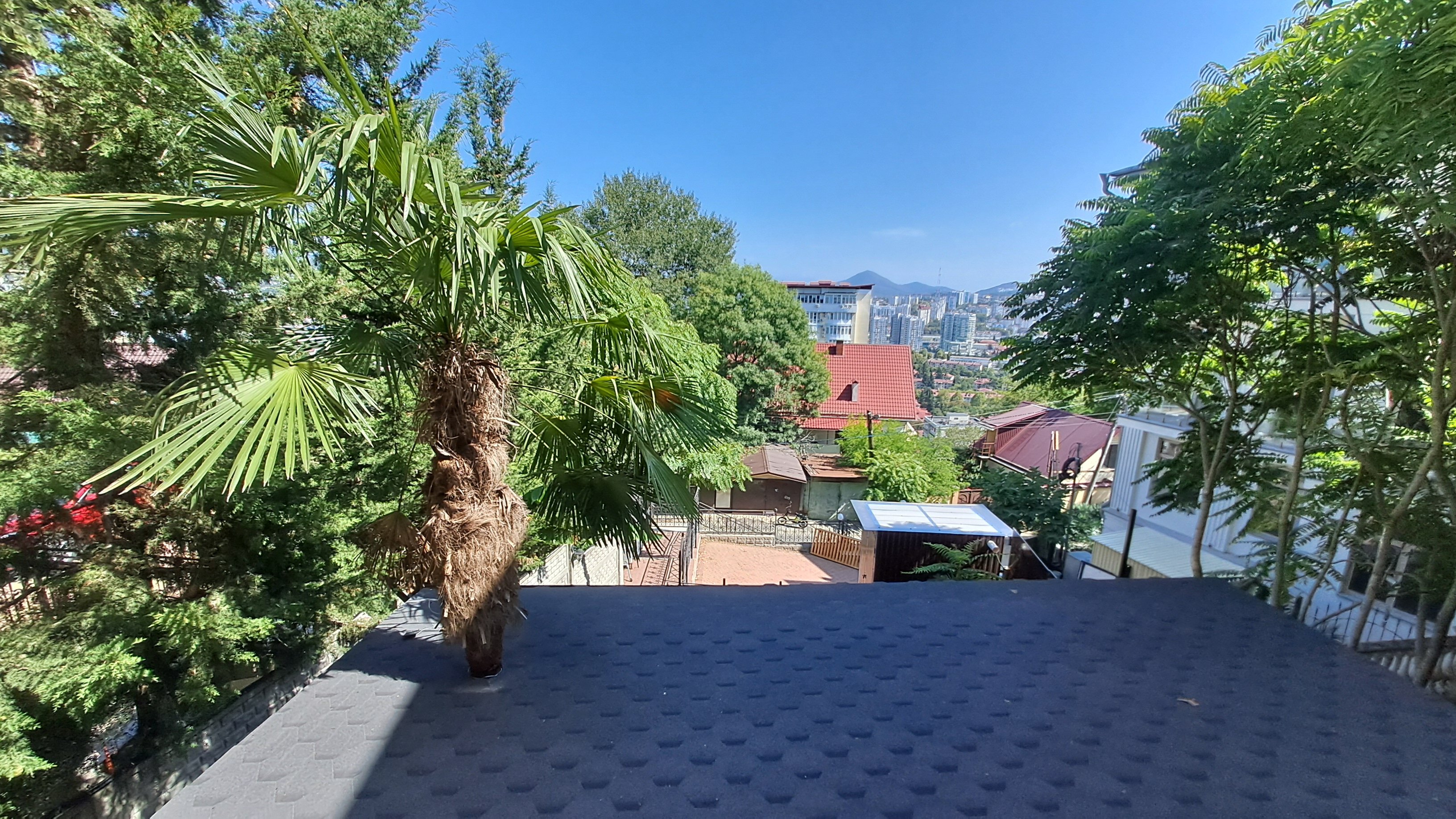 Фото Ветер Сочи