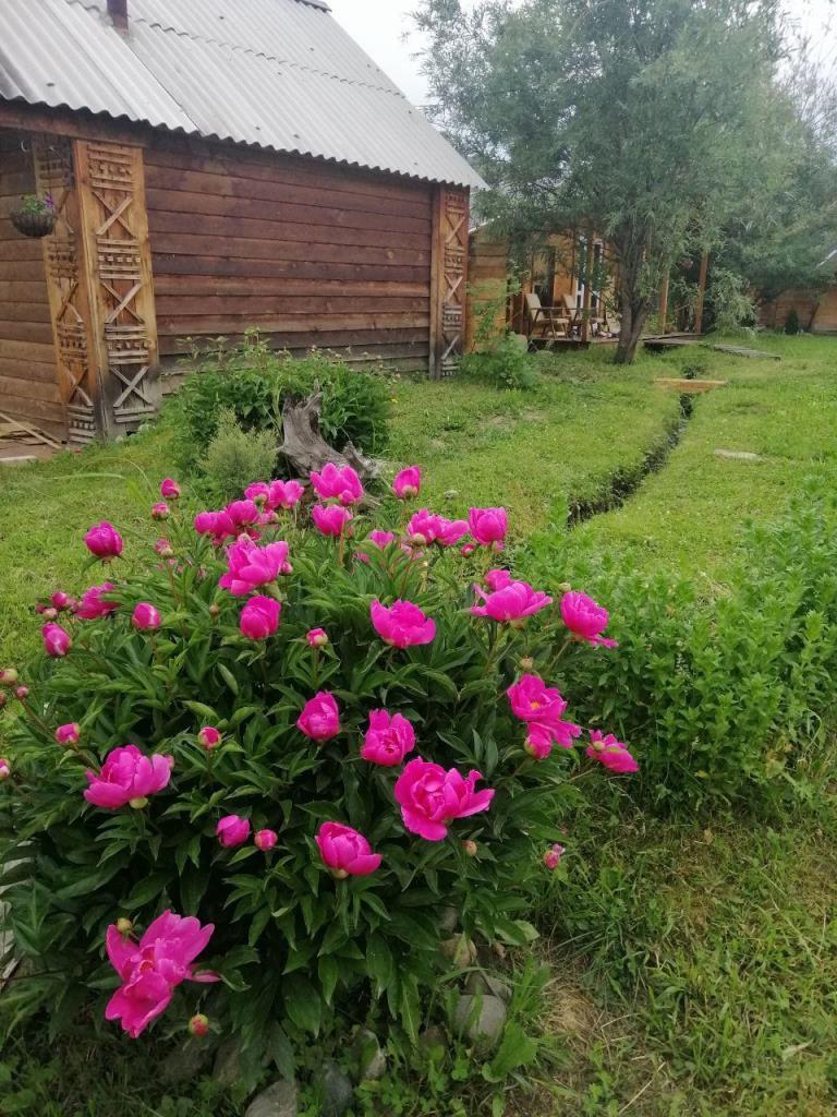 Фото Алтайна