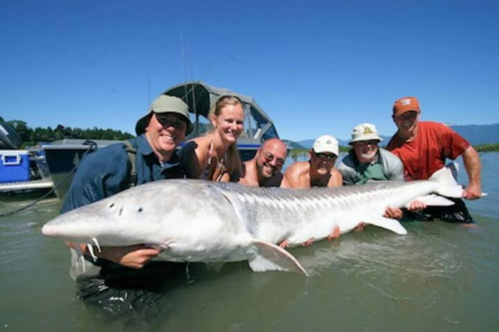 Фото Elevated Escapes 2br Suite Overlooking Lake