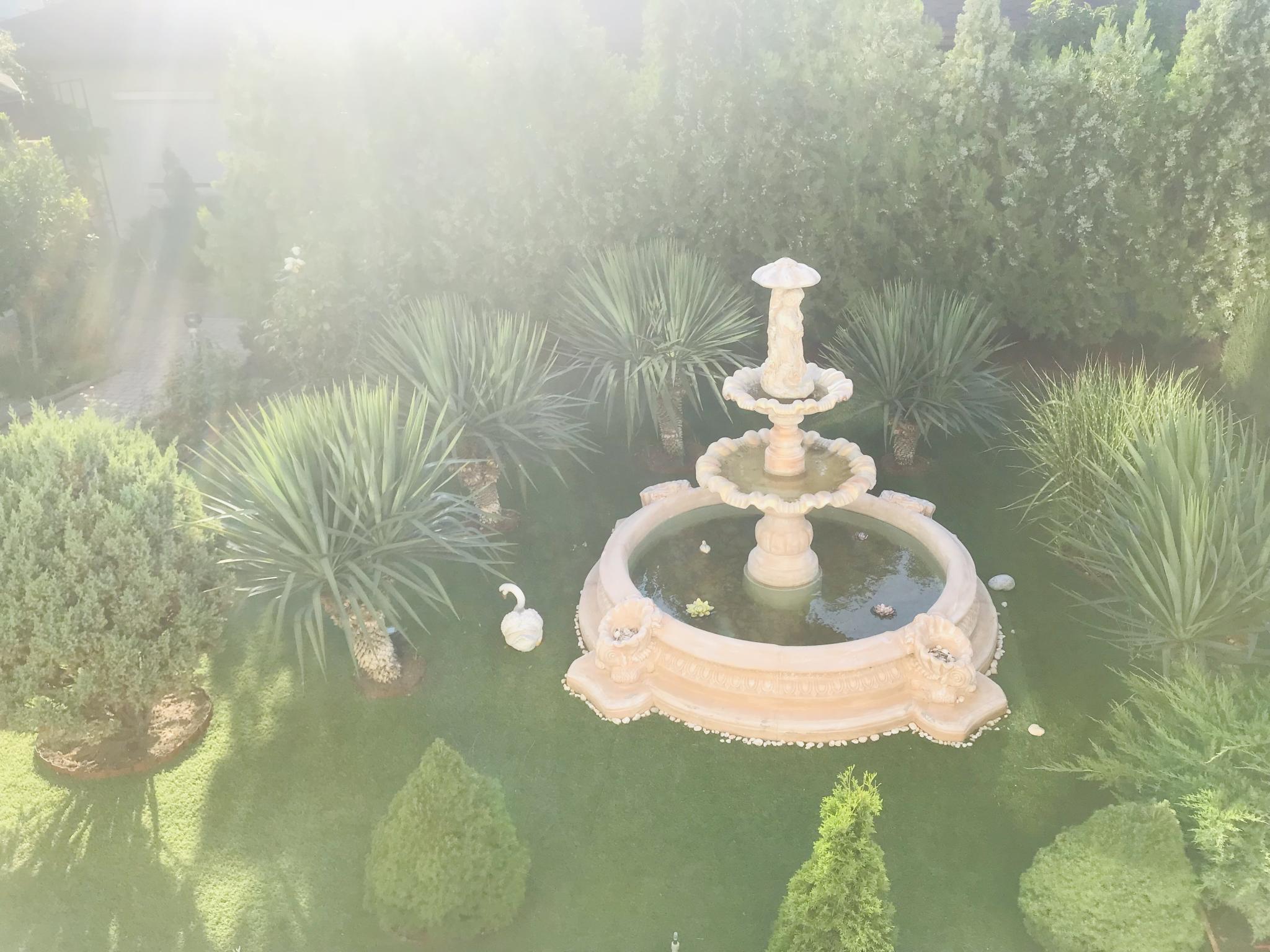 Фото Легкий Бриз