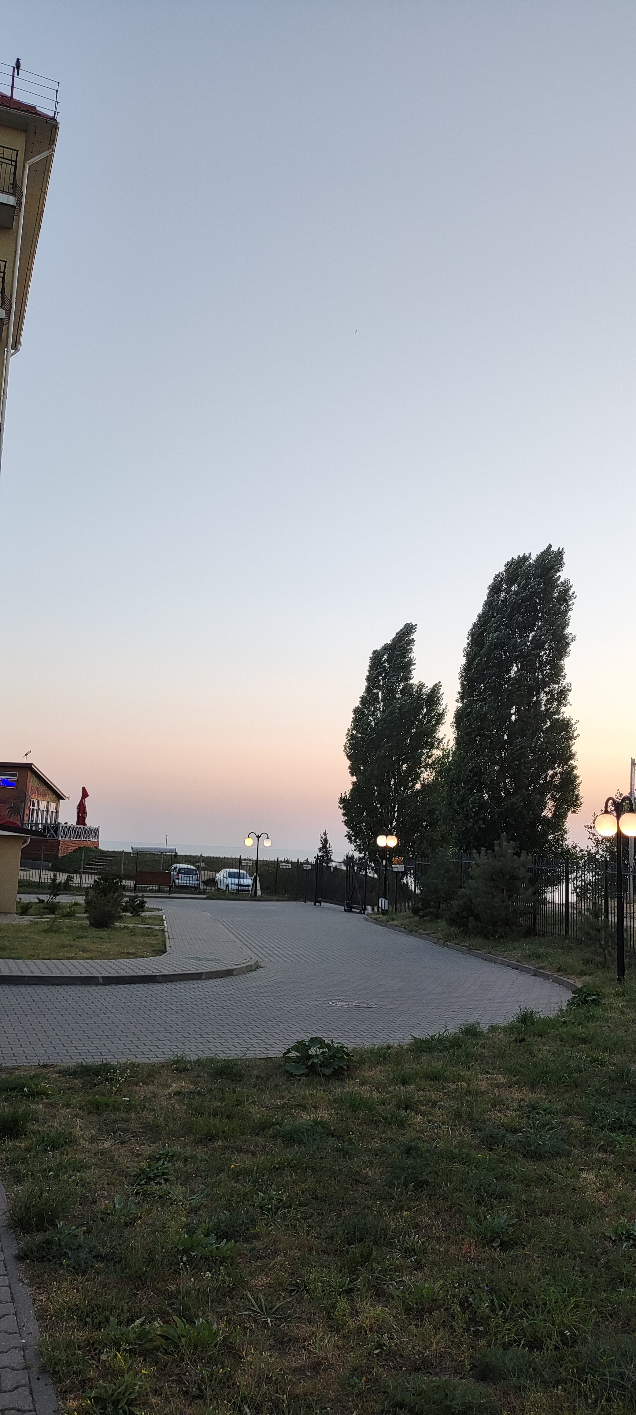 Фото Янтарная Корона