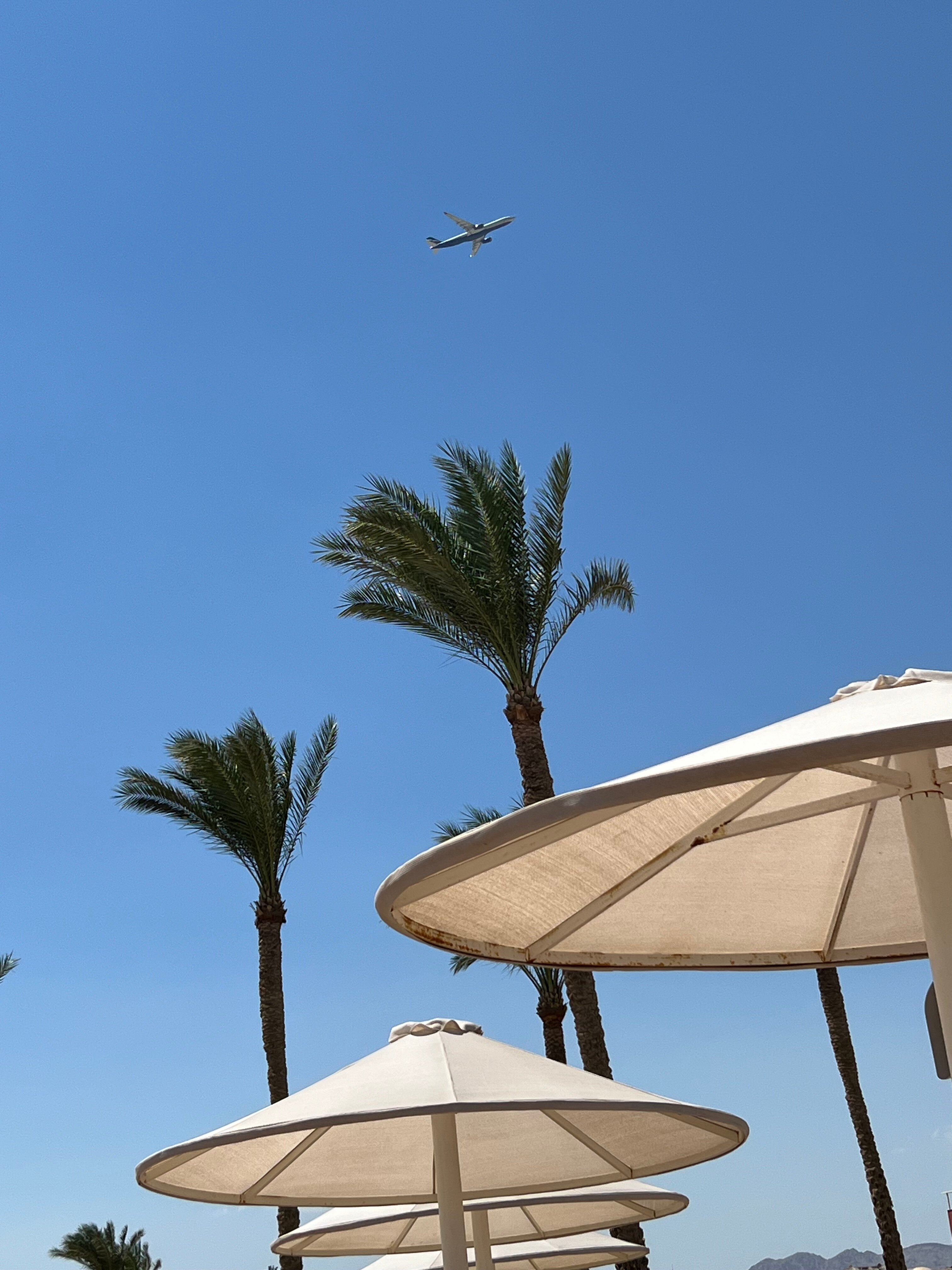 Фото Albatros Laguna Vista Resort