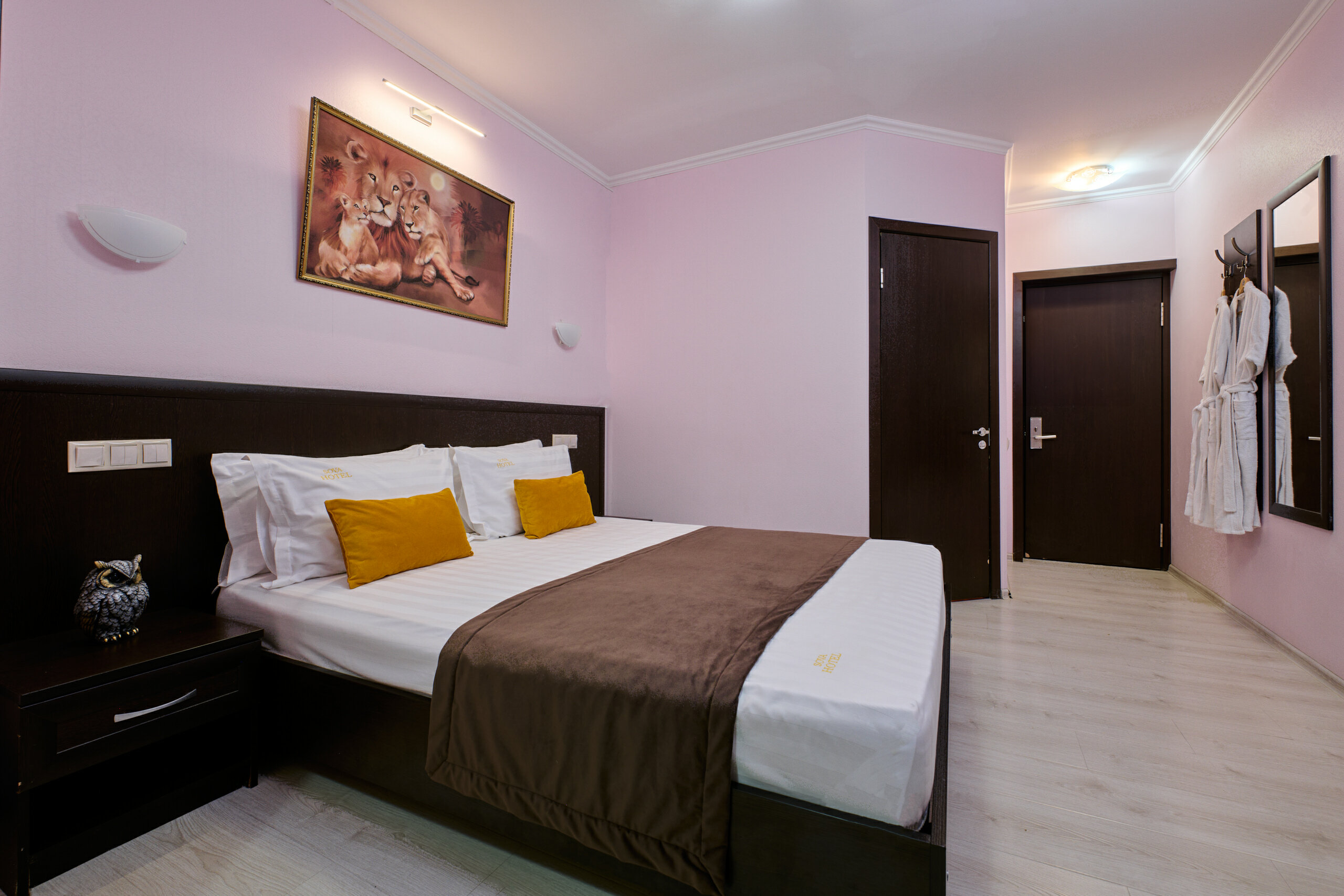 Фото Колибри