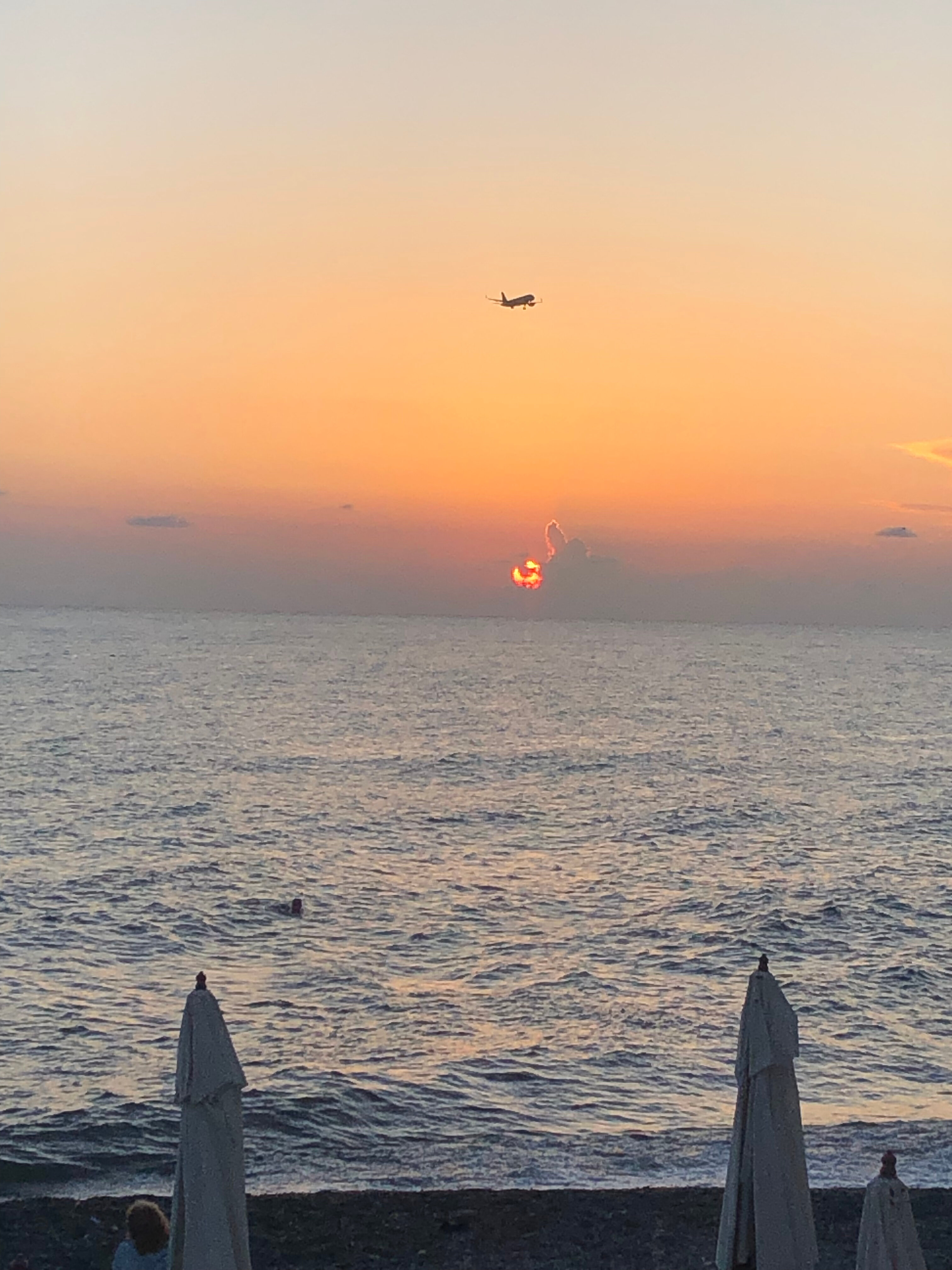 Фото Аррива