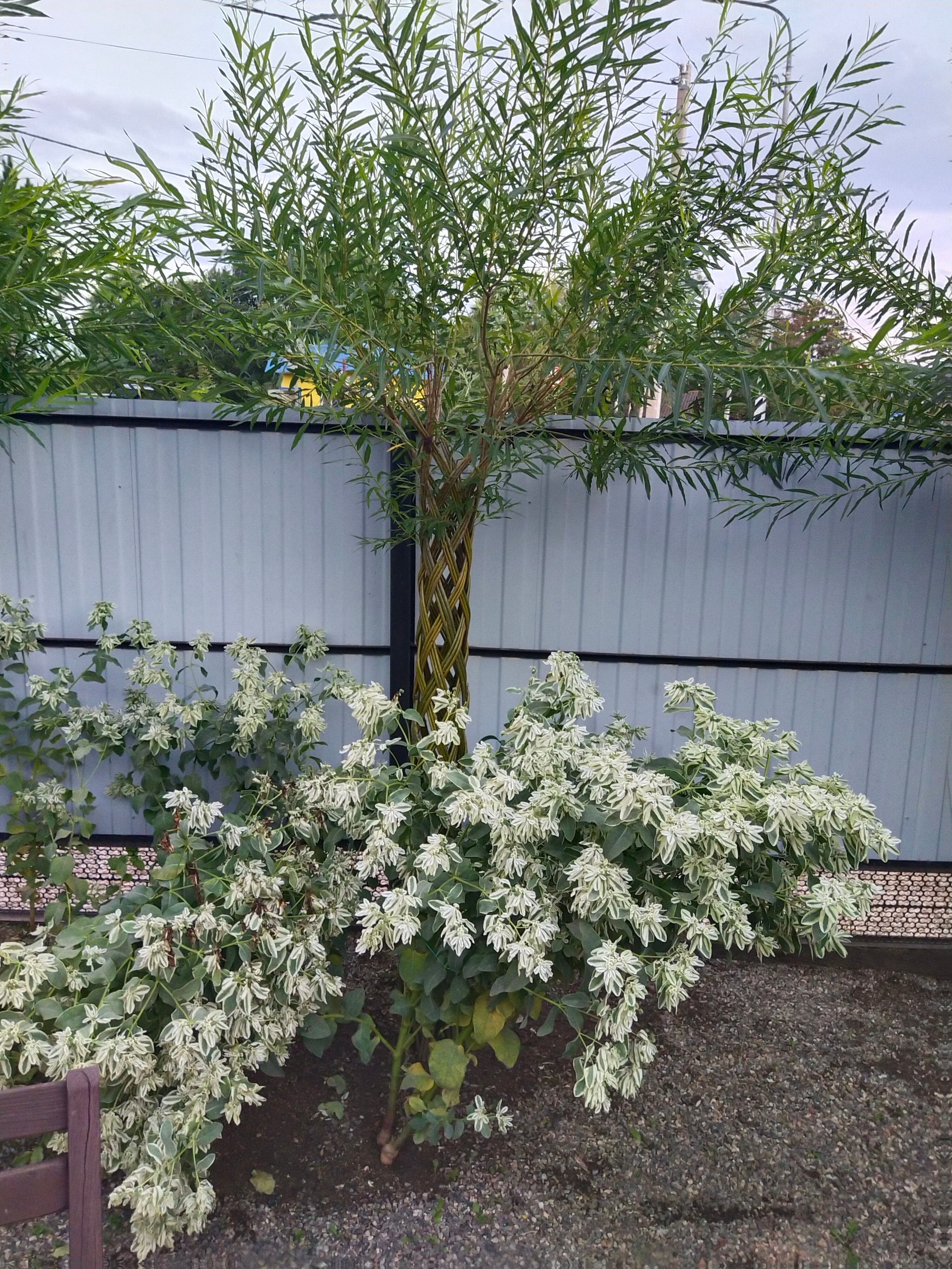 Фото Домик в Лаго-Наки