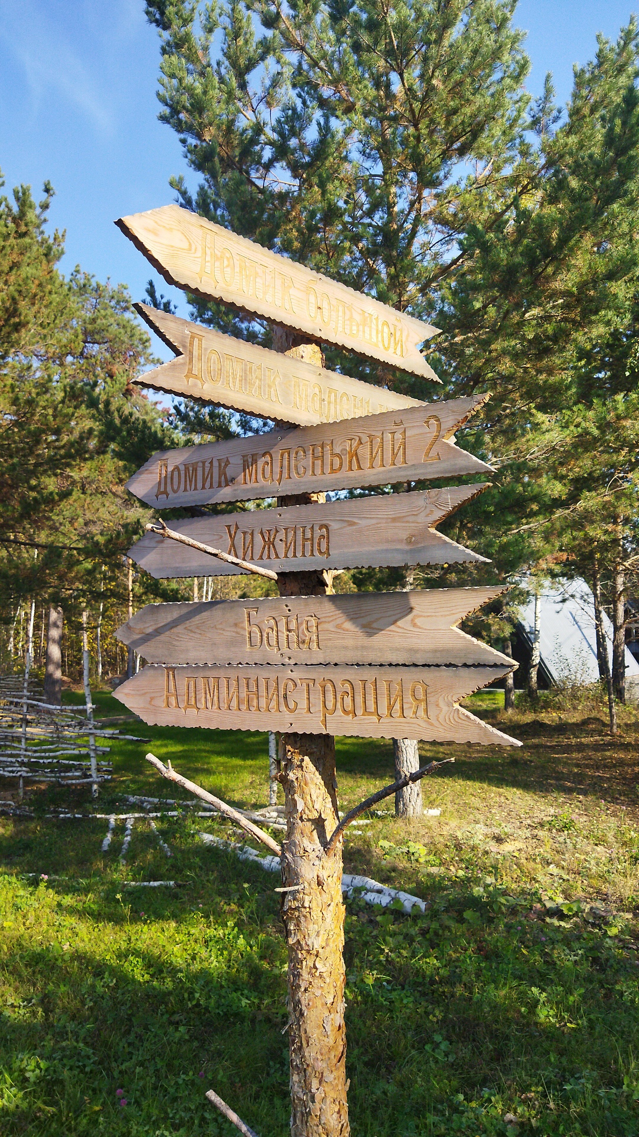 Фото Forest tale