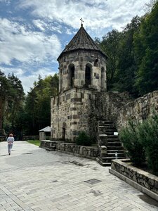 Монастырь Мцване (kray Samtskhe-Dzhavakheti, Borjomi Municipality), monastery, convent, abbey