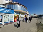 Altyn Business (Qabanbaı Batyr kóshesi, 146/1), pawnshop